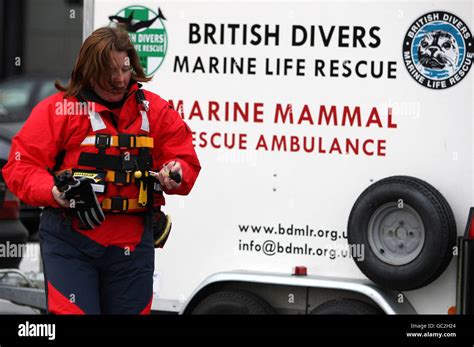 british marine life rescue.